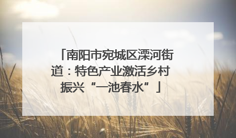南阳市宛城区溧河街道：特色产业激活乡村振兴“一池春水”