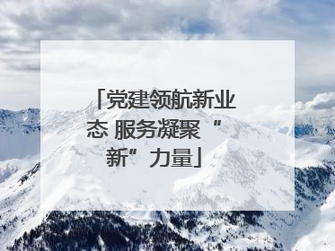 党建领航新业态 服务凝聚“新”力量