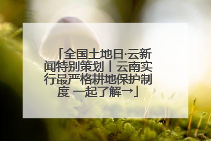 全国土地日·云新闻特别策划丨云南实行最严格耕地保护制度 一起了解→