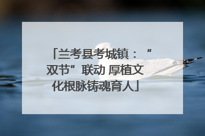 兰考县考城镇：“双节”联动 厚植文化根脉铸魂育人