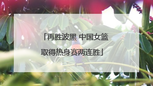 再胜波黑 中国女篮取得热身赛两连胜