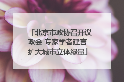 北京市政协召开议政会 专家学者建言扩大城市立体绿量