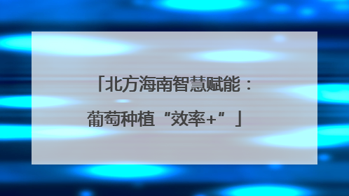北方海南智慧赋能：葡萄种植“效率+”