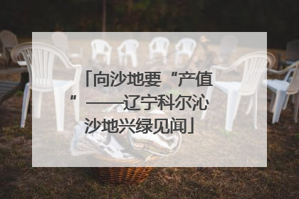 向沙地要“产值”——辽宁科尔沁沙地兴绿见闻