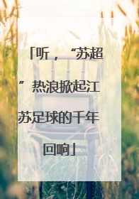 听，“苏超”热浪掀起江苏足球的千年回响