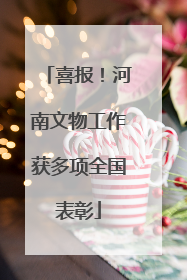 喜报！河南文物工作获多项全国表彰