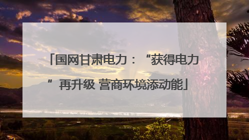 国网甘肃电力：“获得电力”再升级 营商环境添动能