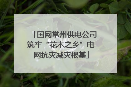 国网常州供电公司筑牢“花木之乡”电网抗灾减灾根基