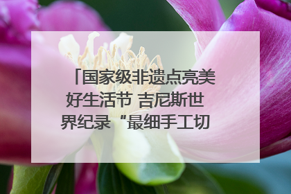 国家级非遗点亮美好生活节 吉尼斯世界纪录“最细手工切面”邀您来品！｜美好生活有“盐”味