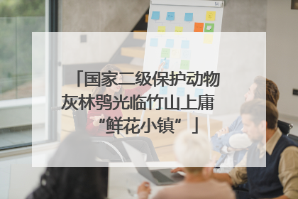 国家二级保护动物灰林鸮光临竹山上庸“鲜花小镇”