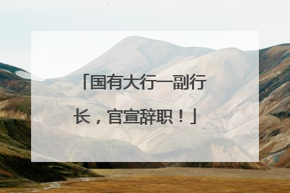国有大行一副行长，官宣辞职！