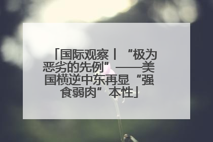 国际观察丨“极为恶劣的先例”——美国横逆中东再显“强食弱肉”本性