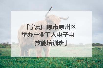 宁夏固原市原州区举办产业工人电子电工技能培训班