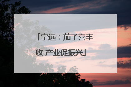 宁远：茄子喜丰收 产业促振兴
