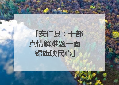 安仁县：干部真情解难题一面锦旗映民心