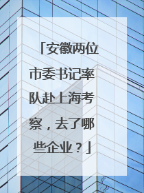 安徽两位市委书记率队赴上海考察，去了哪些企业？