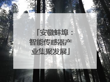 安徽蚌埠：智能传感器产业集聚发展