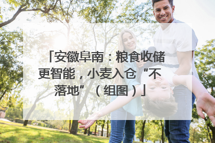 安徽阜南：粮食收储更智能，小麦入仓“不落地”（组图）