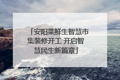 安阳菜鲜生智慧市集装修开工 开启智慧民生新篇章