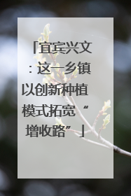 宜宾兴文：这一乡镇以创新种植模式拓宽“增收路”
