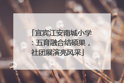 宜宾江安南城小学：五育融合结硕果，社团展演亮风采