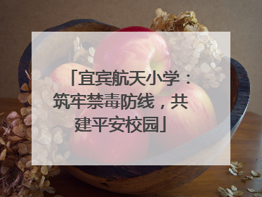 宜宾航天小学：筑牢禁毒防线，共建平安校园