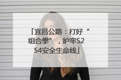 宜昌公路：打好“组合拳”，护牢S254安全生命线