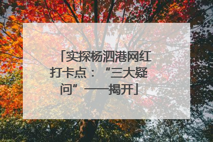实探杨泗港网红打卡点：“三大疑问”一一揭开