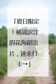 夏日限定！杨浦滨江的花海超出片，速来打卡→