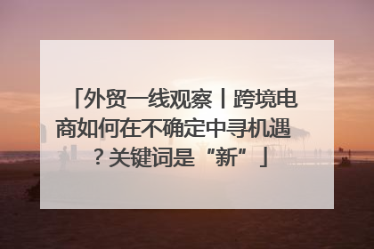 外贸一线观察丨跨境电商如何在不确定中寻机遇？关键词是“新”