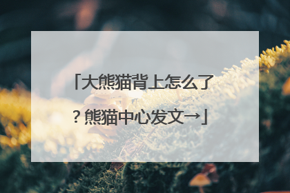 大熊猫背上怎么了？熊猫中心发文→