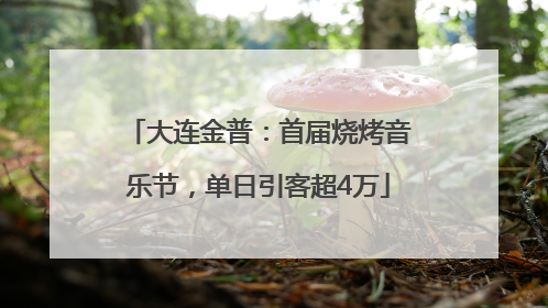 大连金普：首届烧烤音乐节，单日引客超4万