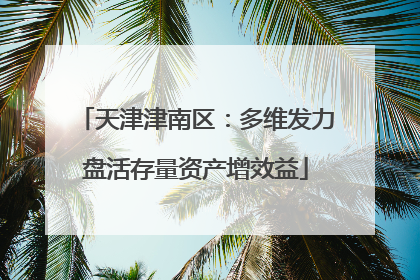 天津津南区：多维发力盘活存量资产增效益