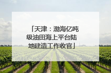 天津：渤海亿吨级油田海上平台陆地建造工作收官