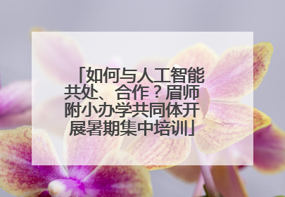 如何与人工智能共处、合作？眉师附小办学共同体开展暑期集中培训