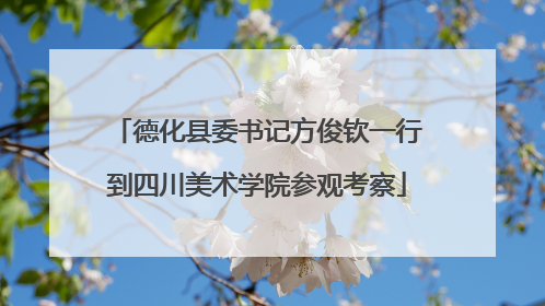 德化县委书记方俊钦一行到四川美术学院参观考察