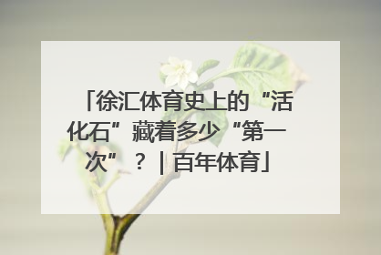 徐汇体育史上的“活化石”藏着多少“第一次”？｜百年体育