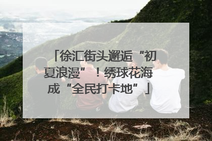 徐汇街头邂逅“初夏浪漫”！绣球花海成“全民打卡地”