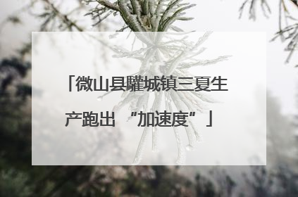 微山县驩城镇三夏生产跑出 “加速度”