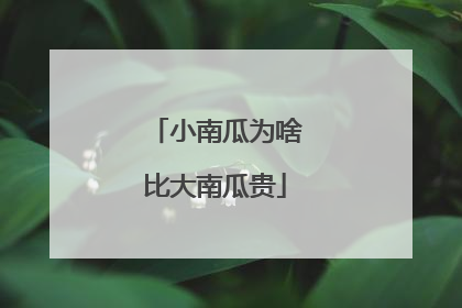 小南瓜为啥比大南瓜贵