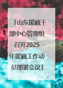 山东援藏干部中心管理组召开2025年援藏工作动员部署会议