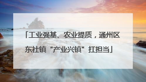 工业强基、农业提质，通州区东社镇“产业兴镇”扛担当