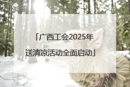 广西工会2025年送清凉活动全面启动