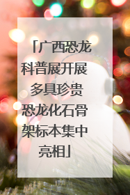 广西恐龙科普展开展 多具珍贵恐龙化石骨架标本集中亮相