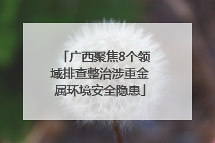 广西聚焦8个领域排查整治涉重金属环境安全隐患