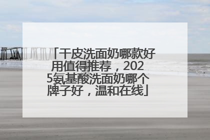 干皮洗面奶哪款好用值得推荐，2025氨基酸洗面奶哪个牌子好，温和在线