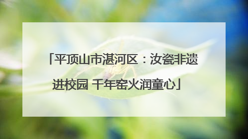 平顶山市湛河区：汝瓷非遗进校园 千年窑火润童心