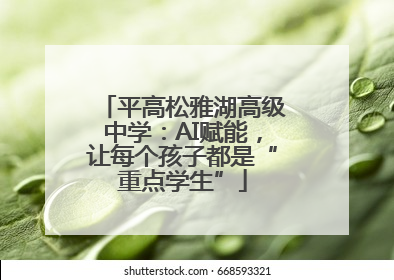 平高松雅湖高级中学：AI赋能，让每个孩子都是“重点学生”