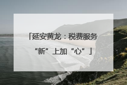 延安黄龙：税费服务“新”上加“心”