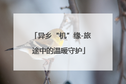 异乡“机”缘-旅途中的温暖守护